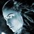 Terri Dawson's profile image