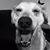 Christy Astolfi Decker's profile image