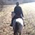 Becky Sue Swigert's profile image