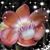 Britta Pronold's profile image
