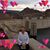 Sandi Coughlin's profile image