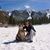 Shannon Cousino's profile image