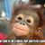 Michael Young's profile image