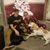 Trina L Phillips's profile image