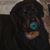 Kathy Onwezen's profile image