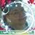 Jana Lynn Shellman's profile image