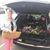 Audrey Atwell's profile image