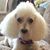 Carlyn Engstrom's profile image