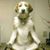Mike Jorgenson's profile image