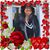 Maggie DeGeorge's profile image