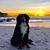 Ted Baumuller's profile image