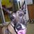 Sue Baker's profile image