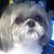 Cassie J. Clark's profile image