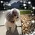Barbara Darish's profile image