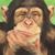 Ken Azzato's profile image