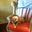 Lorraine Bernsee's profile image