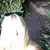 Bettie Meldahl's profile image