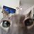 Dennis Peterson's profile image