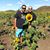 Carlos Ramos's profile image