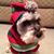 Linda Domico's profile image