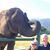 Jim Swertel's profile image