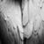 Christina Vino's profile image