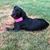 Mary Micheel McGahey's profile image