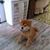 Jill Bemis's profile image