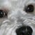 Terri Corum's profile image