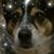 Reda Reese's profile image