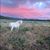 Sabrina Jennings's profile image