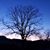 Jerrie Triplett Goodwin's profile image