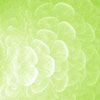 Filipa D.'s profile image