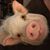 Kelly Loyd Lawrence's profile image