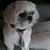 Geoffrey Bobersky's profile image