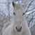 Jenna Wehner's profile image