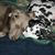 Christie Kuehl-Davidson's profile image