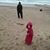 Vicky Hensley's profile image