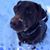 Peggy Karnes's profile image