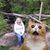 Cynthia Narkoff's profile image