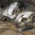 Carolyn Knigge's profile image
