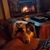 David Mary Lorenz's profile image