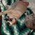 Mary Ellen Shulas's profile image
