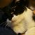 Wanda Whatley's profile image