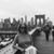 Janet Fitzsimmons's profile image
