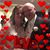 Stephanie Sullivan Bridges's profile image