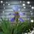 Anita Glidden's profile image