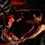 Richelle Donigan's profile image
