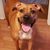 Beth Watson Dwyer's profile image