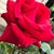 Juanita LeClair Mara's profile image